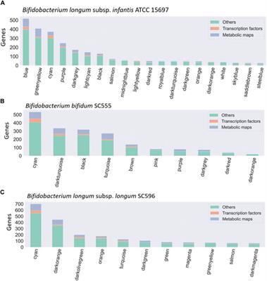 Structure of co-expression networks of Bifidobacterium species in response to human milk oligosaccharides